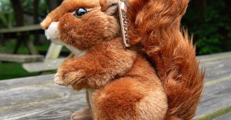 Plush squirrel toy hotsell